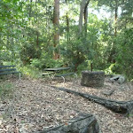 Old picnic area in the Blackbutt Reserve