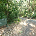Intersection and sign in the Blackbutt Reserve