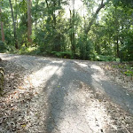 Sealed trail in the Blackbutt Reserve