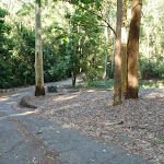 Small picnic area in the Blackbutt Reserve
