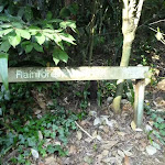 Rain Forest sign in the Blackbutt Reserve