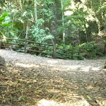 Timber fence by bridge over Rain Forest Creek in Blackbutt Reserve