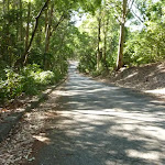 Road down to the end of Lookout Road in Blackbutt Reserve
