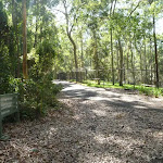 Trail and metal ring fence in Blackbutt Reserve