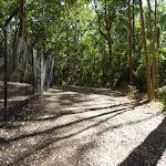 Metal fence and trail in Blackbutt Reserve
