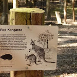 'Red Kangaroo' sign at Carnley Ave Reserve