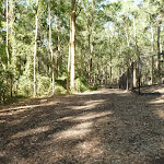 Trail and metal ring fence near Carnley Ave Reserve in Blackbutt Reserve