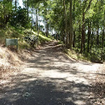 A trail intersection near Lookout Road in Blackbutt Reserve