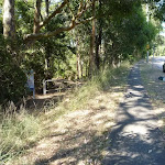 Trail into Blackbutt Reserve, and near Lookout Road