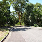 The end of Ridgeway road in New Lambton Heights, close to Blackbutt Reserve