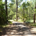 Forested trail with Lily Pond Picnic Area in the distance in Blackbutt Reserve