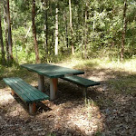 Picnic table at Lily Pond Picnic Area in Blackbutt Reserve