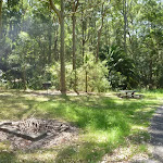 Barbecue and picnic table at Lily Pond Picnic Area in Blackbutt Reserve