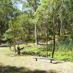 Bench with Lily Pond beyond at Lily Pond Picnic Area in Blackbutt Reserve