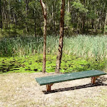 Seating bench at Lily Pond Picnic Area in Blackbutt Reserve