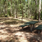 Picnic table at Mahognay Picnic Area in Blackbutt Reserve