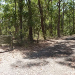 Track intersection in Blackbutt Reserve