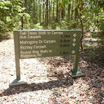 Detailed sign on the Tall Trees walk in Blackbutt Reserve