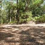 Trail intersection and sign in Blackbutt Reserve