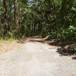 Wide trail in Blackbutt Reserve