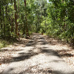 Trail close to Richley Reserve in Blackbutt Reserve