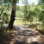 Trail and pond in the distance at Richley Reserve