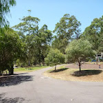 Wide sealed trails at Richley Reserve in Blackbutt Reserve