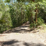 Trail by pond in Richley Reserve in Blackbutt Reserve