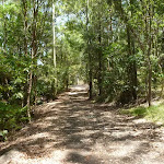 Trail near pond at Richley Reserve
