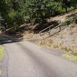 Wide trail with timber steps on the right at Richley Reserve