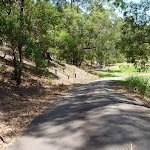 Trail in Richley Reserve near the large ponds in Blackbutt Reserve