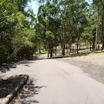 Gently downhill trail at Richley Reserve