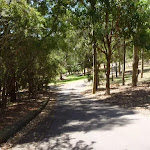 Sealed trail in Richley Reserve in Blackbutt Reserve