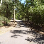 Wide trail at Richley Reserve in Blackbutt Reserve