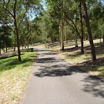 Trail through open trees at Richley Reserve