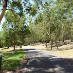 Trail amongst trees and grassland at Richley Reserve in Blackbutt Reserve