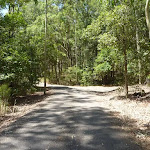 Sealed trail in Richley Reserve