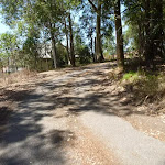 Trail near Dunkley Ave in Blackbutt Reserve