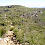 Track from Mt Hay car park