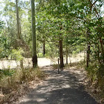 Sealed footpath down to large grassy clearing in Richley Reserve