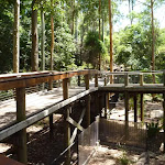 Elevated boardwalk at the Wildlife Exhibits at Blackbutt Reserve