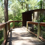 Elevated boardwalk on the Wildlife Exhibits at Carnley Ave Reserve