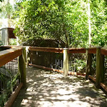 Boardwalk on the Wildlife Exhibits at Carnley Ave Reserve