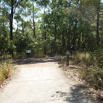 Forested track intersection in Green Point Reserve 