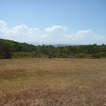 Open grasslands on an elevated area of Green Point Reserve