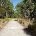 Shared pathway for walkers and bicycles in Green Point Reserve