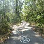 Shared footpath in Green Point Reserve on Lake Macquarie