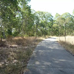 Trail in Green Point Reserve
