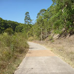 A small clearing on the Zig Zag Track in Green Point Reserve