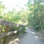 Timber fencing next to trail in Green Point Reserve